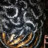 Top African Hair Braiding